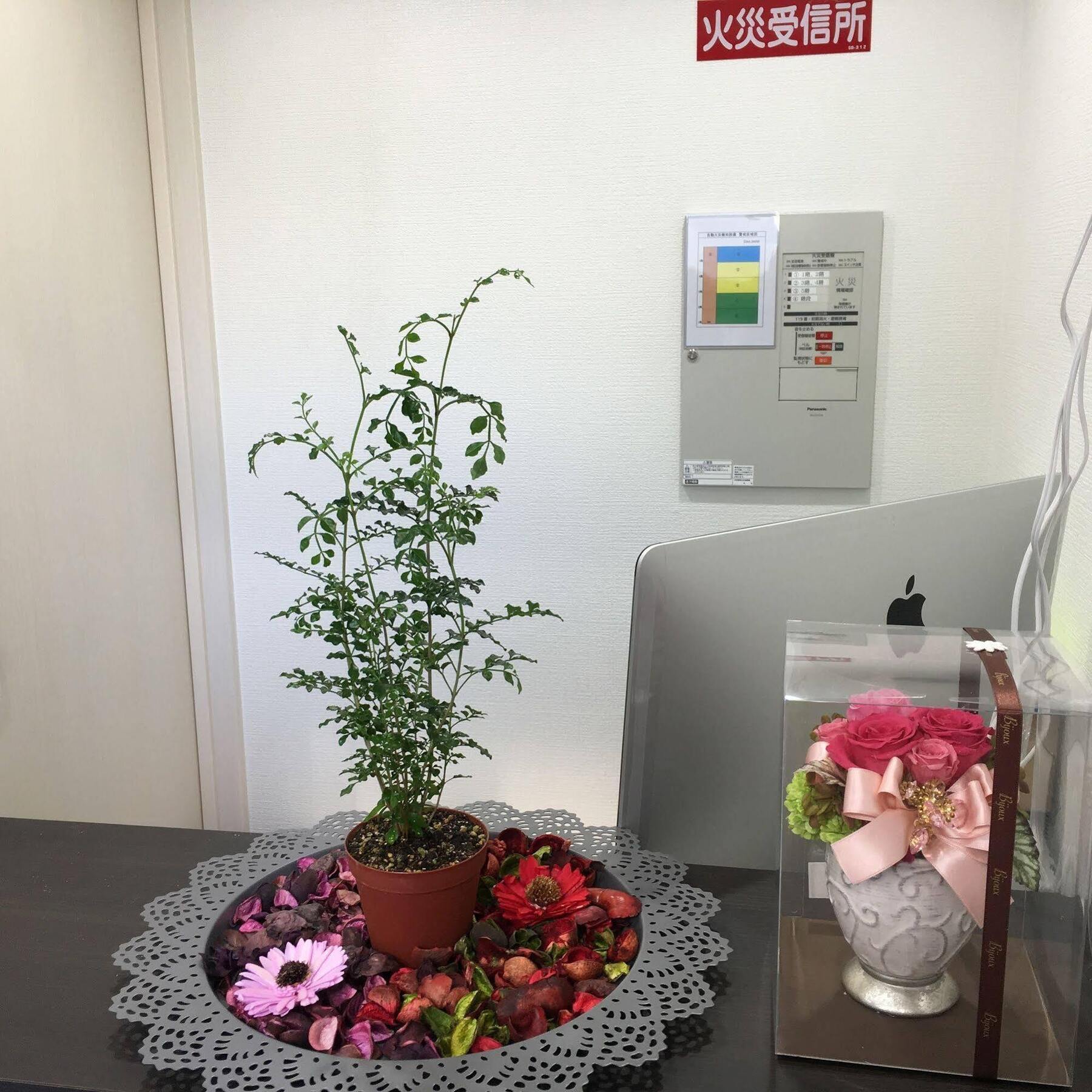 Coco Hostel Namba أوساكا المظهر الخارجي الصورة